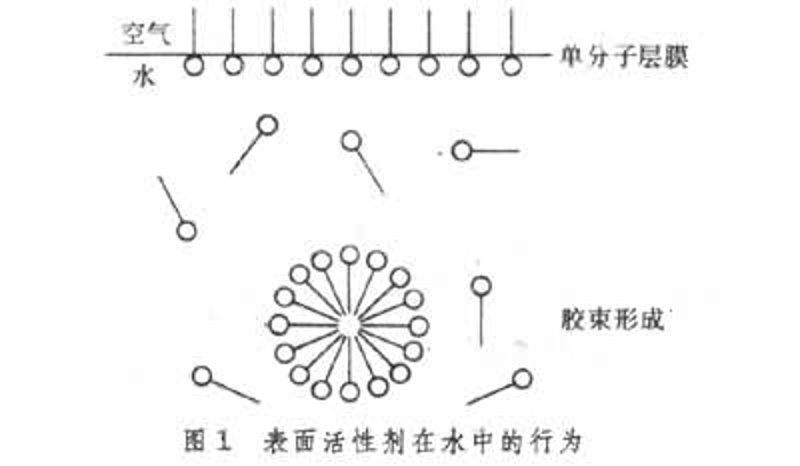山东安米化工：打造安全与品质的双重保障